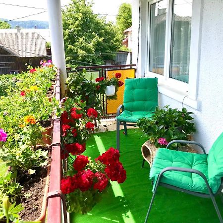 Apartament Vica 古拉哈莫卢洛伊 外观 照片