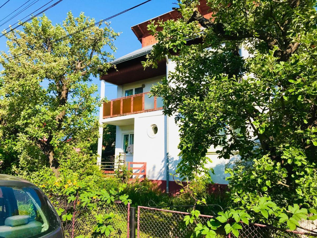Apartament Vica 古拉哈莫卢洛伊 外观 照片