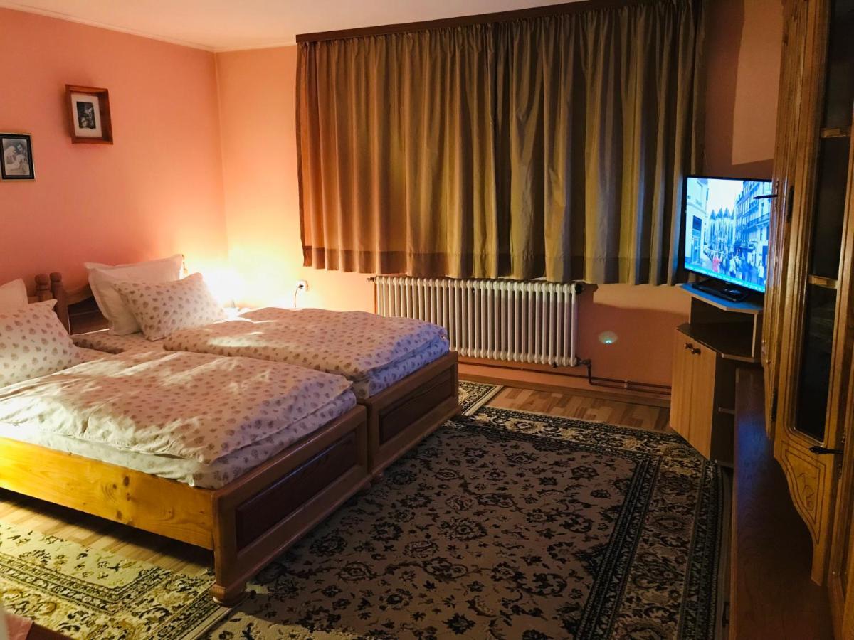 Apartament Vica 古拉哈莫卢洛伊 外观 照片