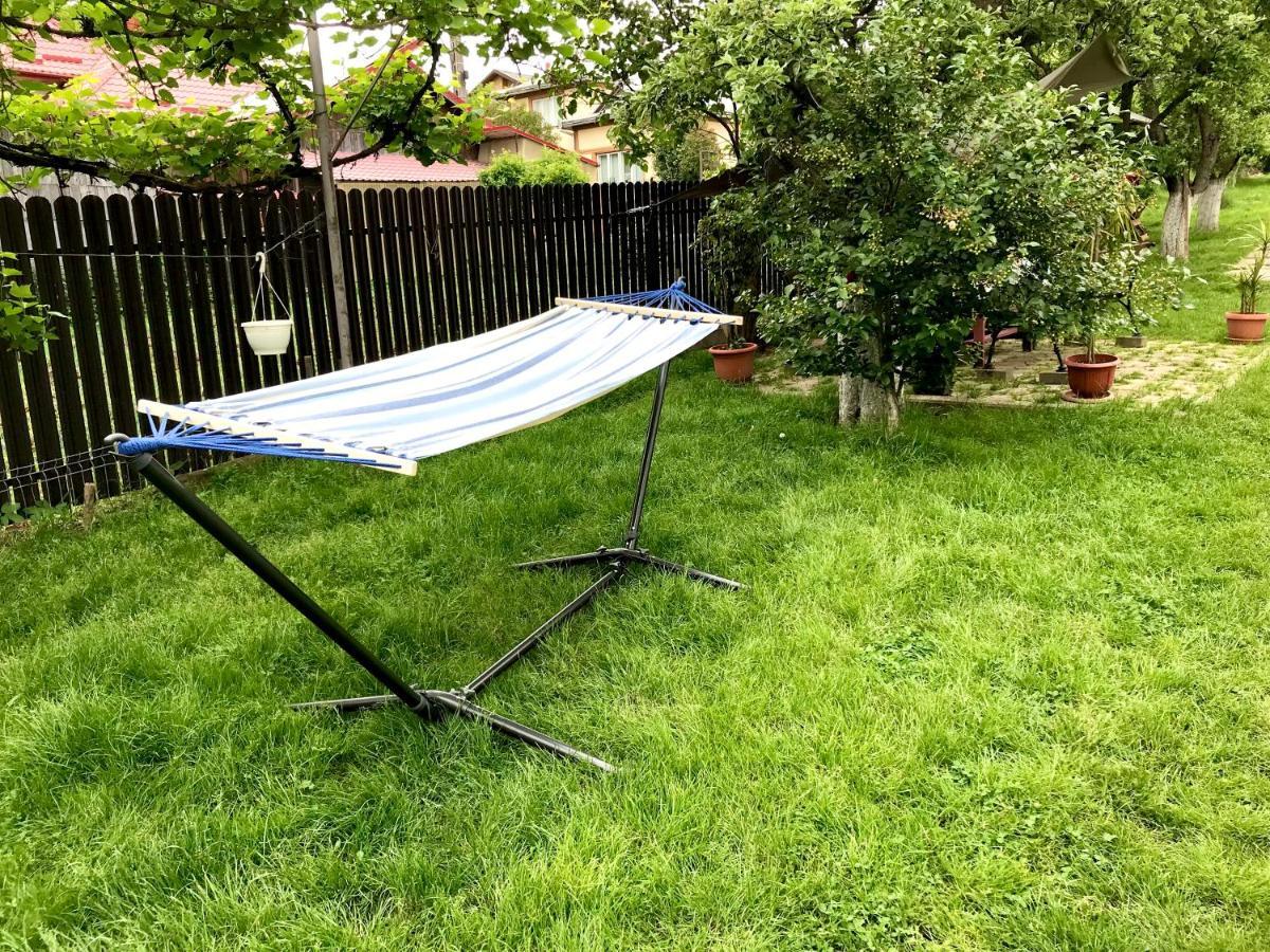 Apartament Vica 古拉哈莫卢洛伊 外观 照片