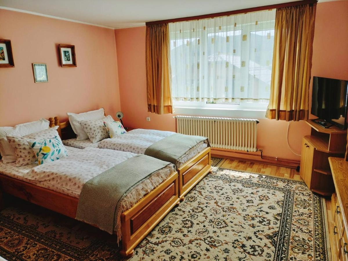 Apartament Vica 古拉哈莫卢洛伊 外观 照片