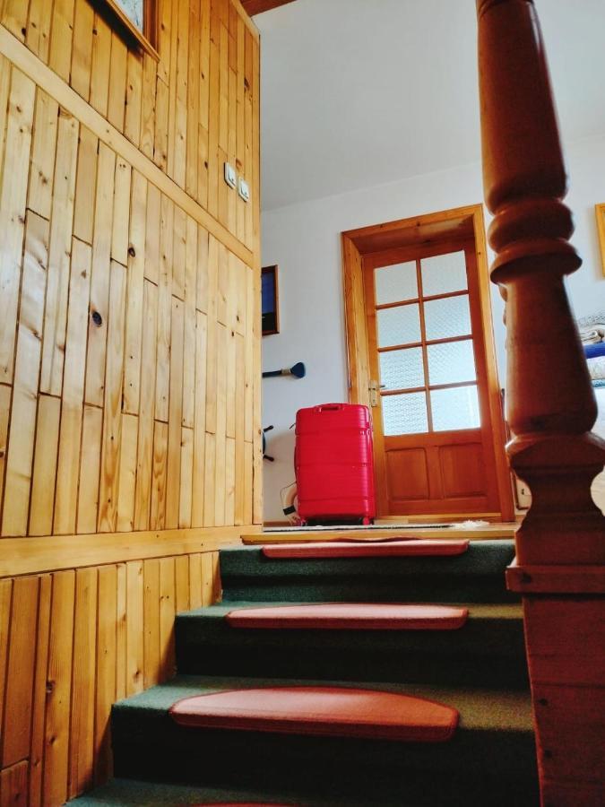 Apartament Vica 古拉哈莫卢洛伊 外观 照片