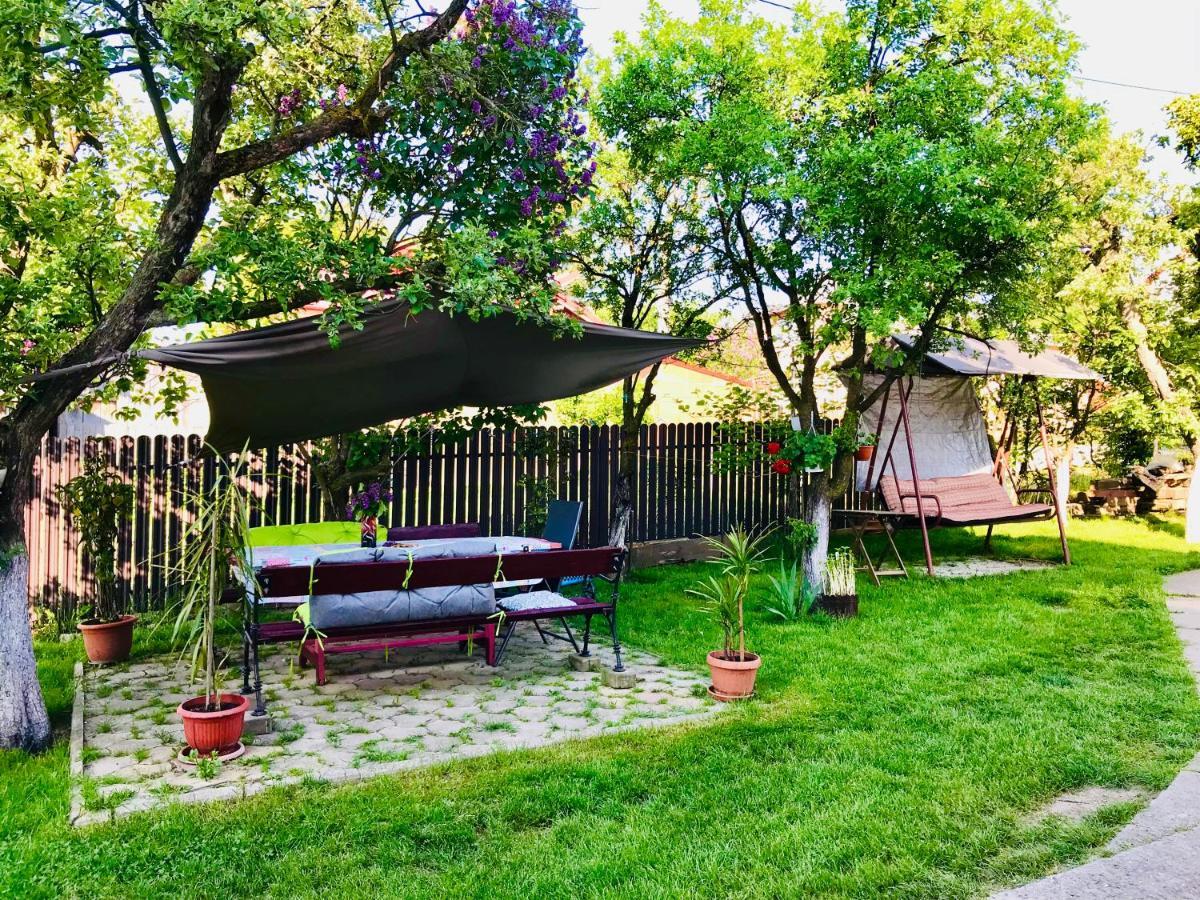 Apartament Vica 古拉哈莫卢洛伊 外观 照片