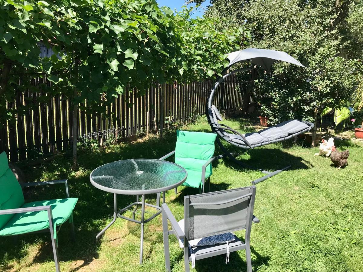 Apartament Vica 古拉哈莫卢洛伊 外观 照片